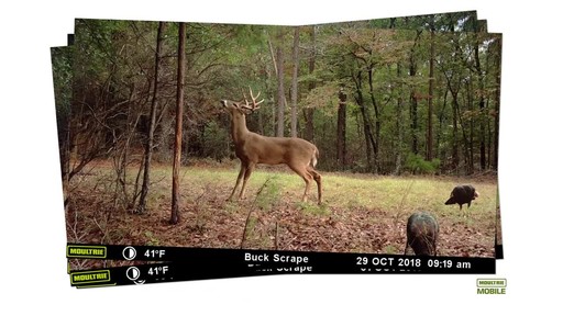 Moultrie XA7000i Integrated Cellular Game/Trail Camera 20MP - image 6 from the video